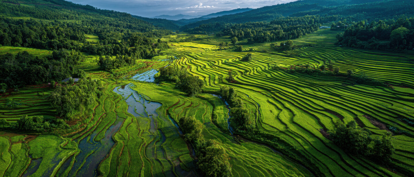 Rice paddy terraces in rural Asia, where Japanese encephalitis vaccination is recommended for longer stays