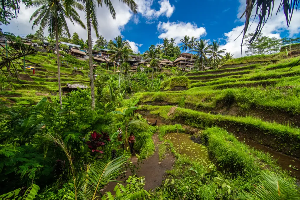 Bali and Indonesia